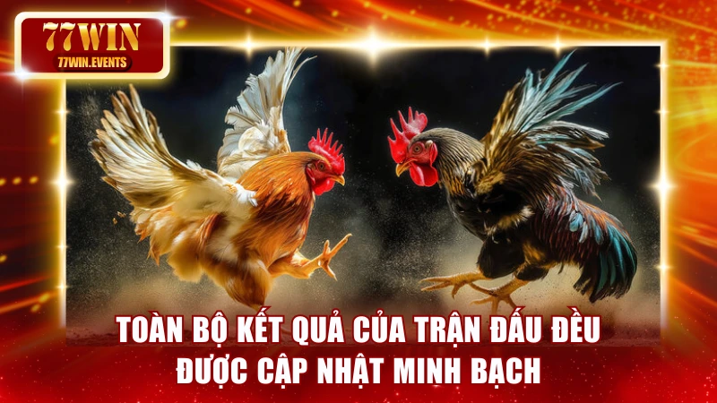 Toàn bộ kết quả của trận đấu đều được cập nhật minh bạch